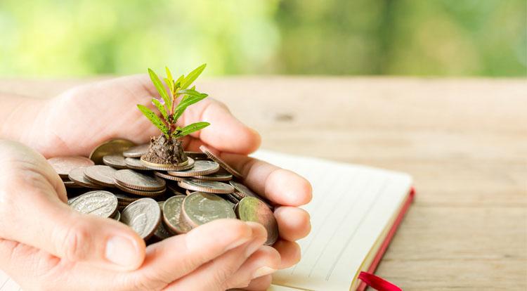 Pentingnya Pendidikan Finansial Sejak Dini untuk Membentuk Kebiasaan Cerdas Mengelola Keuangan